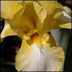 DSCN0056.JPG